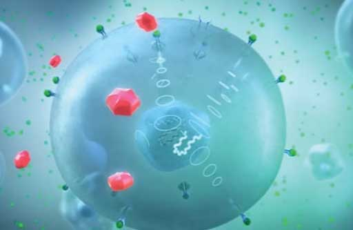 Molecule graphic